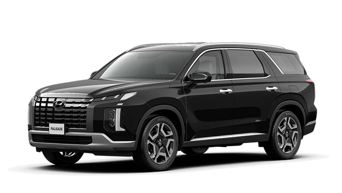 Hyundai Palisade Tiền Giang