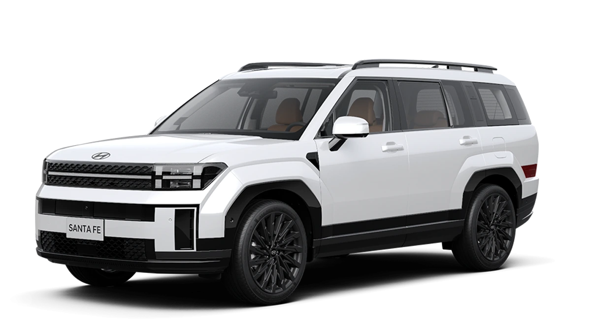 Hyundai Santafe Tiền Giang